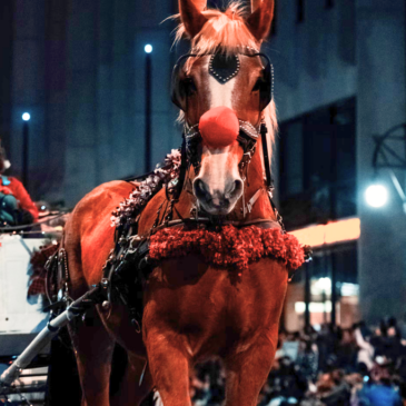 Holiday Horse Parade Set for Saturday, November 9, 2024